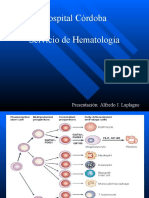 Leucemias Agudas y Cronicas HC