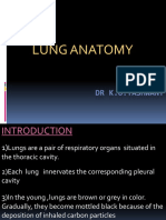 Lung Anatomy: BY DR K.O.Yashwant