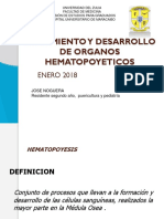 Hematopoyesis