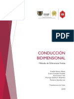 Conducción Bidimensional Diferencias Finitas