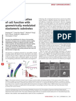 Mechanical Regulation of Cell Function With Geometrically Modulated Elastomeric Substrates