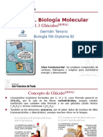 GTP t1. Biología Molecular 3 Parte Glúcidos 2016-17 PDF