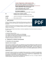 Informe de FLV