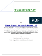 Pre-Feasibility Report: Shree Shyam Sponge & Power LTD