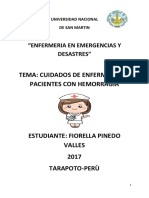 Trabajo de Hemorragias