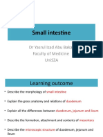 Small Intestine 2017