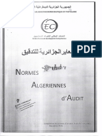 Normes Algeriennes D'audit 210 PDF