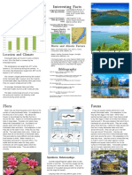 Peyton's Freshwater Lakes Brochure