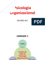 SLIDES AP1 Psicologia Organizacional - Pps