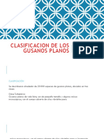 Clasificacion de Los Gusanos Planos