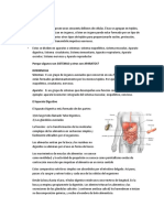 Resumen Organos, Aparatos, Sistemas