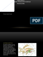 Diapositivas Practica 1 Pisicultura