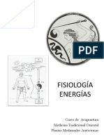 Medicina Tradicional China - FISIOLOGÍA Energias Sustancias AD