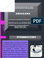 EXPO Amalgama