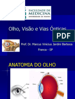 Olho-Visão e Vias Ópticas