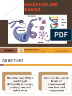 Chromosomes, DNA Structure and Topology