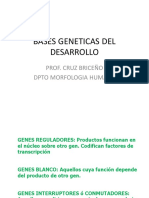 Genes Del Desarrollo