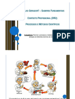 Apresentação 9 Saberes Fundamentais PDF