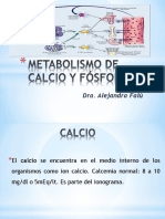 Metabolismo de Calcio y Fosforo