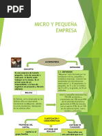 Micro y Pequeña Empresa