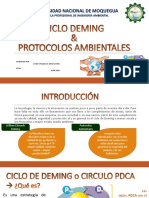 Ciclo Deming & Protocolos Diana