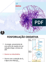 Fosforilacao Oxidativa