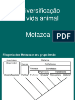 6-Diversidade Dos Metazoa 2018 PDF