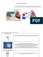 Derivacion Cardiopulmonar