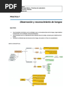 Guia No 7 Observacion y Reconocimiento de Hongos 2016-1