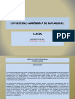 Derecho Procesal de Amparo Curso Completo