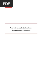 Taller Minero Informe 2 PDF