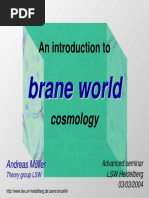 Brane World