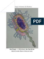 Morfologia e Estrutura Das Bactérias