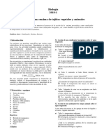 Informe Practica Enzimas