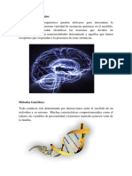 Método Neuroquímico Exposicion Psicofisiologia