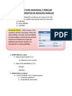 Resumen Ciclo Vital Individual y Familiar