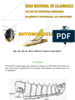 Sesión de Aprendizaje #6 PDF