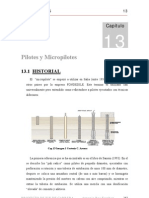 Pilotesymicropilotes