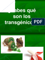 Transgenicos Exposición