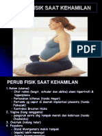 Perub Fisik Saat Kehamilan