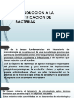 Introduccion A La Identificacion de Bacterias