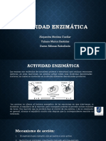 Exposicion Actividad Enzimatica