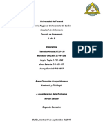 Areas Generales Del Cuerpo Humano