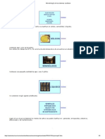 Medios de Cultivo