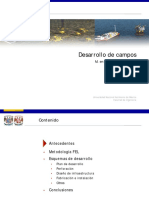 Desarrollo de Campos PDF