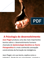 A Psicologia Do Desenvolvimento Pro Funcionario