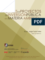 Perfiles de Proyectos Inversion Publica Materia Ambiental