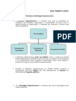 Estrutura e Estrategia Organizacional