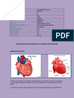 Cirugia Revascularizacion Miocardica