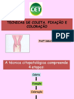 Técnicas de Coleta, Fixação e Coloração